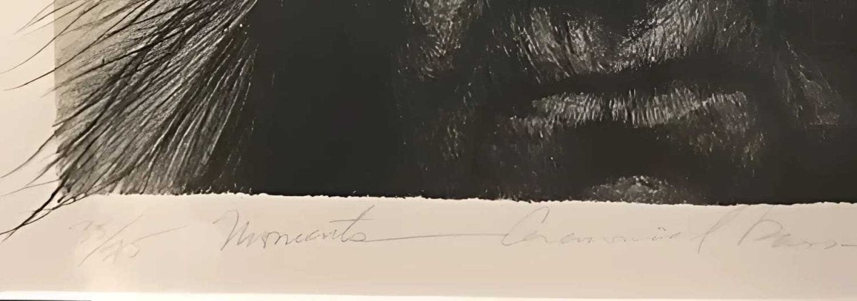 Frank Howell's Ceremonial Passing Lithograph 35/75 Edition - Re - psychles Vintage Shop & Art Gallery