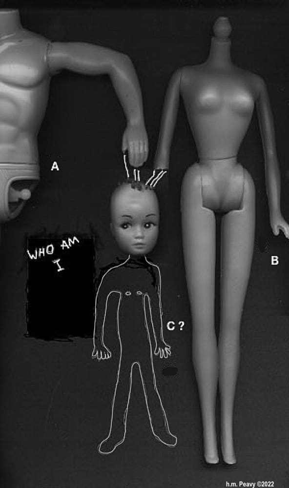 Who Am I? t-shirt by h.m. Peavy